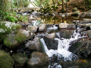 Pont de pierre du saut des cuves sur la rivière Vologne à Xonrupt-Longemer dans les Vosges. France
