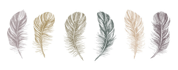 Feathers set on white background. Hand drawn sketch style.	