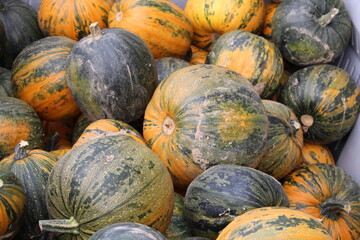 Striped Squash at a farm market