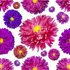Seamless endless pattern with multicolored aster flowers. Floral background. For design and printing. Natural asters background. Concept for print and design