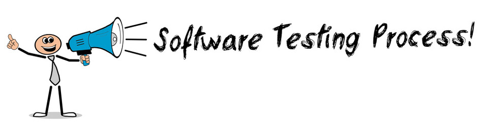 Software Testing Process! 