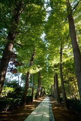 大田黒公園（東京都杉並区）