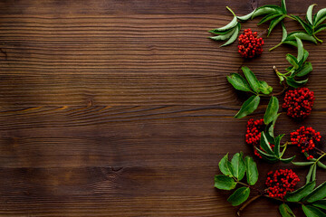 Wild red berries and herbs on a table top view, copy space © 9dreamstudio