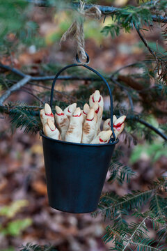 Halloween Witches' Finger Cookies