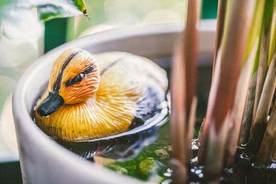 Plastic Duckling in a Papyrus Plant Vase