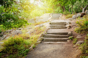 Forest stone stairs, outdoors environment