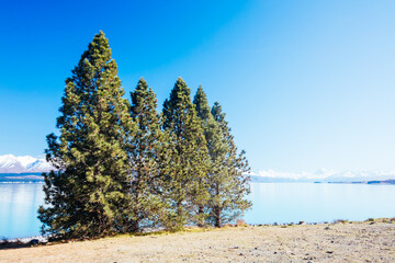 Mt Cook and Lake Pukaki in New Zealand