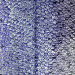 Fish scale texture close-up. Copy space. © Людмила Селянинова