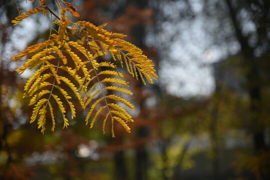 Allphotokz Gorkiypark 20191026 4496 D810 S