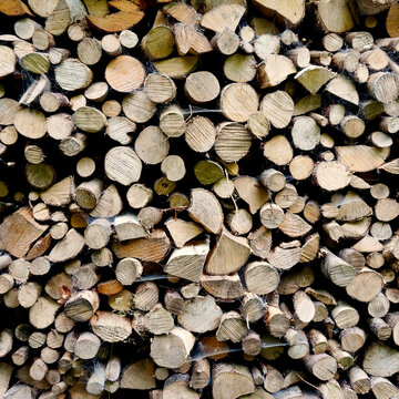 Firewood storage with cobwebs