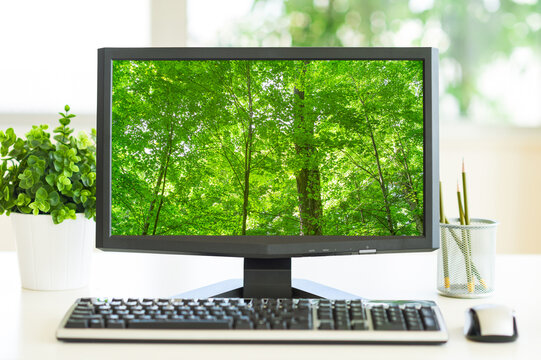 Computer screen showing greenery