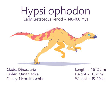 Hypsilophodon. Ornithischian dinosaur. Colorful vector illustration of prehistoric creature hypsilophodon and description of characteristics, period of life isolated on white background. Fossil dino.
