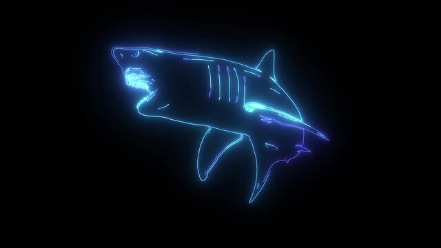 white shark digital neon video