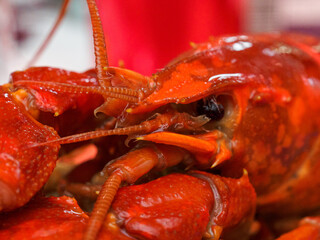 Boiled crayfish on a plate