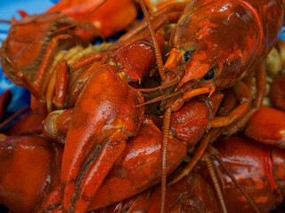 Boiled crayfish on a plate
