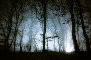 dark misty forest panorama fantasy halloween landscape