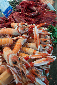 Close up of langoustines