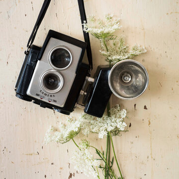 Studio shot of antique camera with flowers