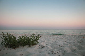 Evening seascape with dramatic sky and grass on beach. Summer nature. Scenic sunset sky over island beach. Tranquility concept. Scenic coastline background. Horizon over water. Bay landscape.
