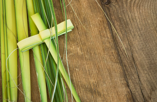Palm leaves for palm sunday