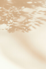 Abstract natural background of leaves shadows falling on white wall, beige monochrome backdrop for...