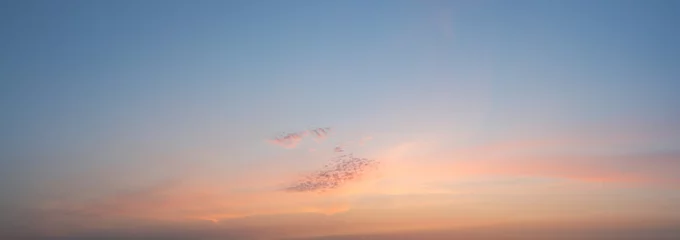 Wandcirkels aluminium Panorama sky in pastel colors in the sunset © Polarpx
