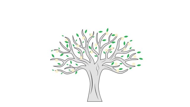 seasons of nature. tree life cycles. 4k video illustration.