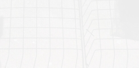 Abstract Shadow. blurred background. gray leaves that reflect concrete walls on a white wall surface for blurred backgrounds and monochrome wallpapers.