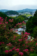 Okadera Temple in Nara.