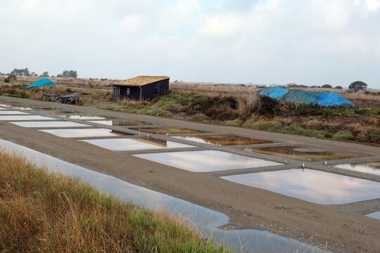 Marais salants du Barrot nord pr&egrave;s de Loix sur l'&icirc;le de R&eacute;
