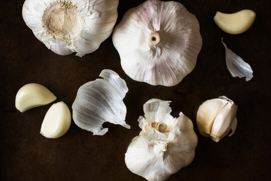 Studio Shot of garlic