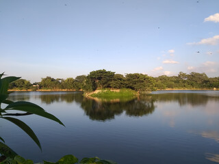 lake in the park