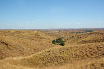 Fototapeta premium Beautiful blue and yellow Madagascar landscape