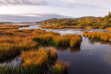 The Marshes of the North seen during a Fall golden hour morning, Stoneham and Tewkesbury, Quebec, Canada