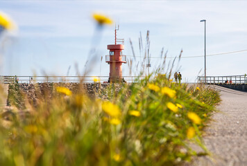 Urlaub an der Nordsee in Büsum