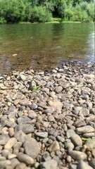 river and stones