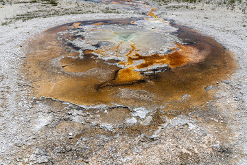 Tardy Geyser, Upper Geyser Basin Area, Yellowstone National Park