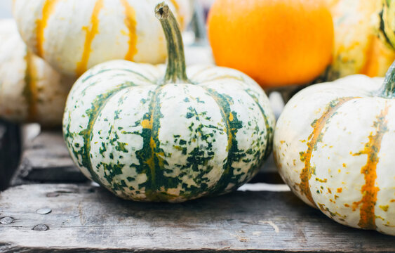 Pumpkins on table