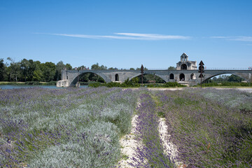 Historical bridge Benezet of Avignon in France