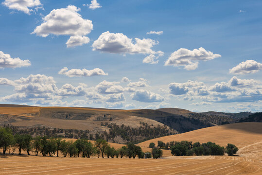 Rolling landscape with cloudy sky