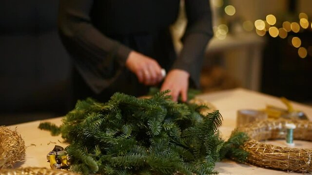 hand holding christmas fir-tree