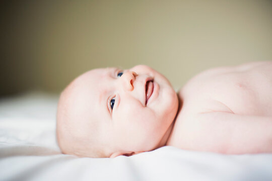Portrait of baby boy (2-5 months)
