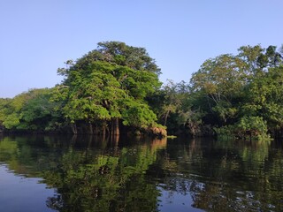 Amazônia, Brasil