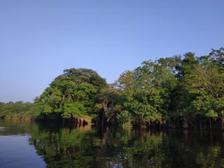 Amazônia, Brasil