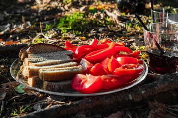 bread and tomato - food to prepare on a fire. Concept of outdoor cooking. a plate of vegan food in a clearing in the forest lit by the sun