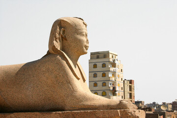 Sphinx of Serapeum in Alexandria, Egypt