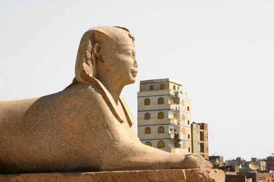 Sphinx Of Serapeum In Alexandria, Egypt