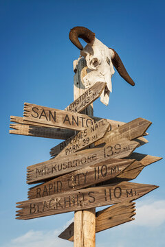 Animal skull on top of directional sign