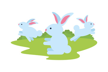 cute rabbits in the camp scene characters