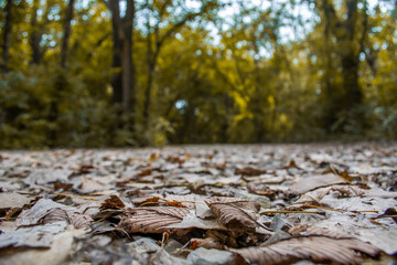 Nature in the flint hills